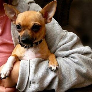 Meet your Posher, Brenda